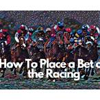 how do you place a bet on a horse race